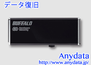 BUFFALO バッファロー USBメモリー RUF2-HSCL16GT 16GB