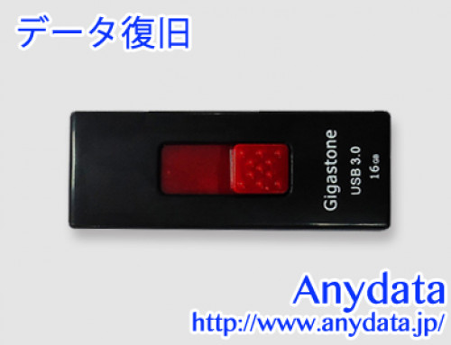 Gigastone ギガストーン USBメモリー 51D2200 16GB