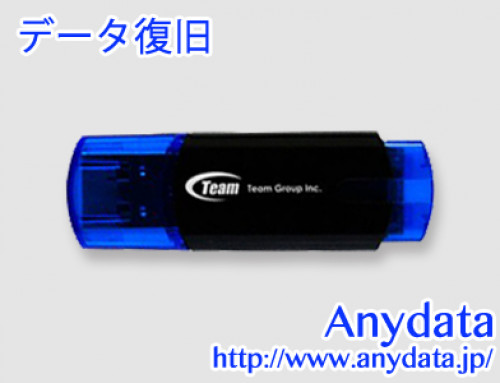 TEAM USBメモリー TG016GC111LT 16GB