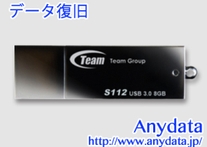 TEAM USBメモリー TS11238GB01 8GB