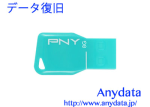 GREEN HOUSE グリーンハウス USBメモリー PNY UFDPKYS-8G 8GB