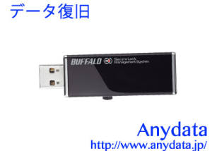 BUFFALO バッファロー USBメモリー RUF2-HSC-32GT 32GB