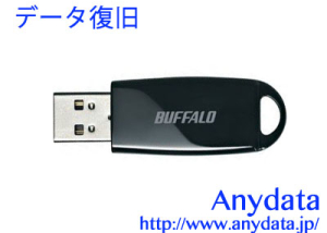 BUFFALO バッファロー USBメモリー RUF2-JUF16GS-BK 16GB