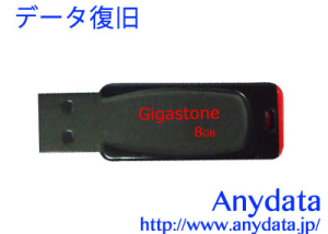 Gigastone ギガストーン USBメモリー GJU28G 8GB