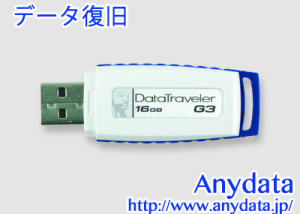 Kingston キングストン USBメモリー Data Traveler DTIG3