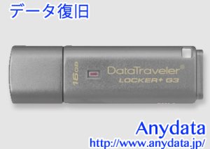 Kingston キングストン USBメモリー DataTraveler