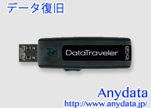 Kingston キングストン USBメモリー DataTraveler DT100