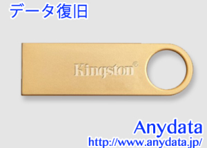 Kingston キングストン USBメモリー DataTraveler DTGE9