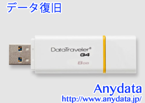 Kingston キングストン USBメモリー DataTraveler DTIG4