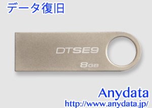 Kingston キングストン USBメモリー DataTraveler DTSE9H