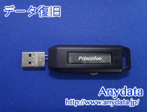 Princeton USBメモリー 16GB(Model NO:不明)