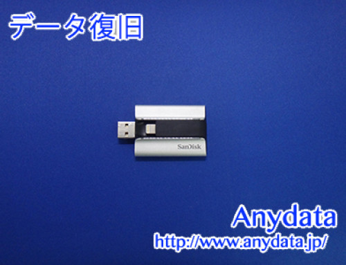 Sandisk USBメモリー 64GB(Model NO: SDIX-064G)