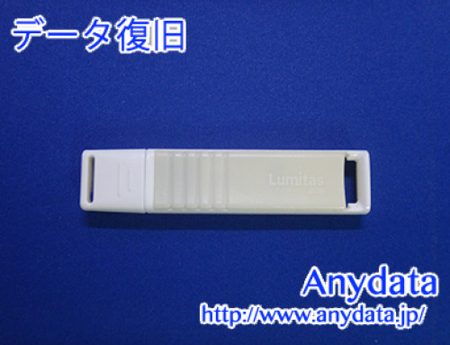 Lumitas USBメモリー 2GB(Model NO:HUD-2GLJ-BB)