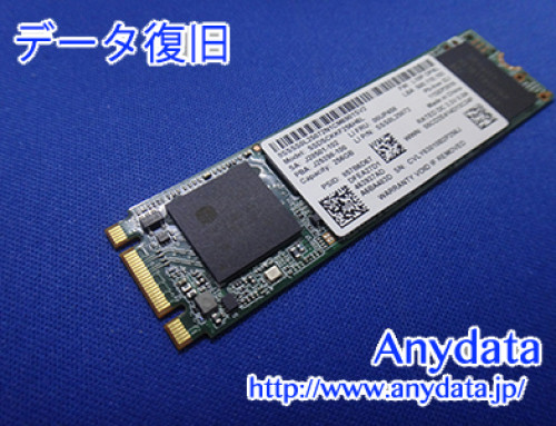 INTEL SSD 256GB(Model NO:SSDSCKKF256H6L)