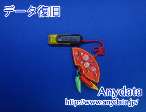 PNY USBメモリー 2GB(Model NO:P-FD2GB/MINI-EF)