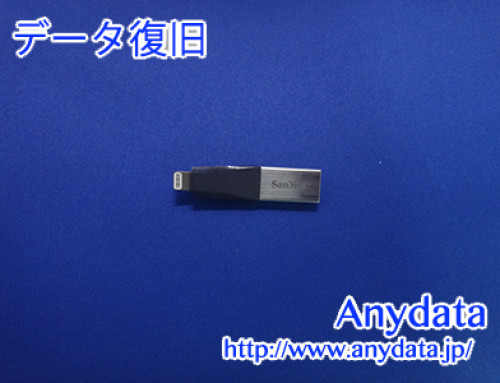 Sandisk USBメモリー 128GB(Model NO: SDIX40N-128G-GN6NE)