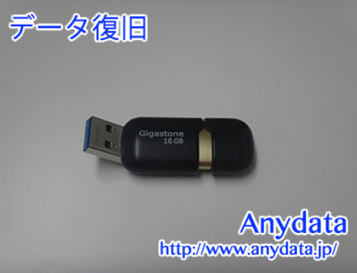 Gigastone USBメモリー 16GB(Model NO:GJU316GSLJ)