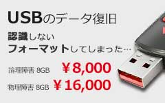 USBメモリーデータ復旧