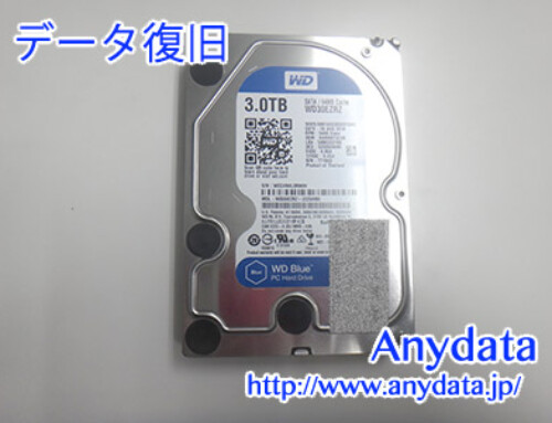 Western Digital HDD 3TB(Model NO:WD30EZRZ)