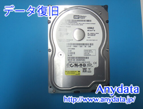 WESTERNDIGITAL HDD 80GB(Model NO:WD800JD)