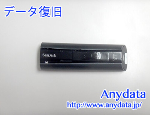 Sandisk USBメモリー 256GB(Model NO:SDCZ880-256G-J57)