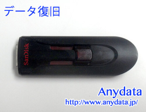 Sandisk  USBメモリー 64GB(Model NO:SDCZ48-064G-U46)