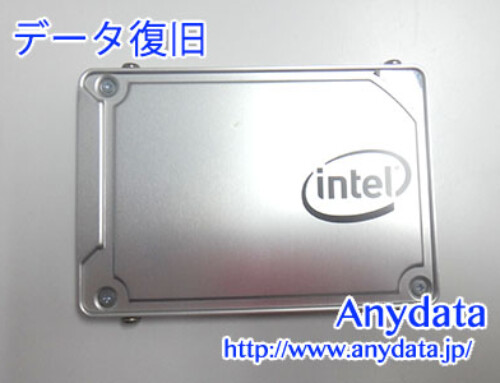 Intel SSD 500GB(Model NO:SSDSC2KW512G8X1)