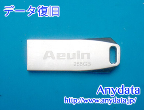 Aeuln USBメモリー 256GB(Model NO:AEULN-856692)