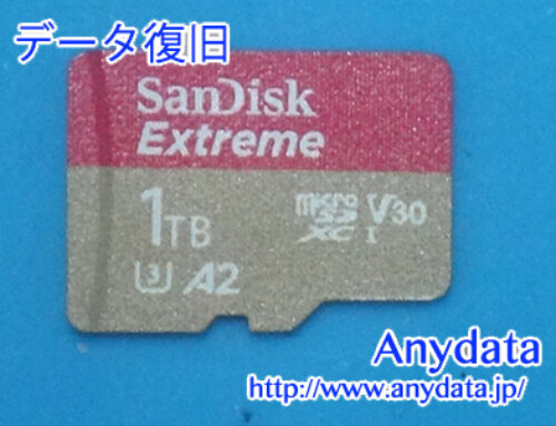 Sandisk MicroSDカード 1TB(Model NO:SDSQXAV-1T00-GN6MN)