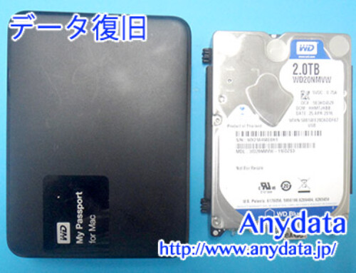 Western Digital 外付けHDD 2TB(Model NO:WDBBKD0020BBK-JESN)