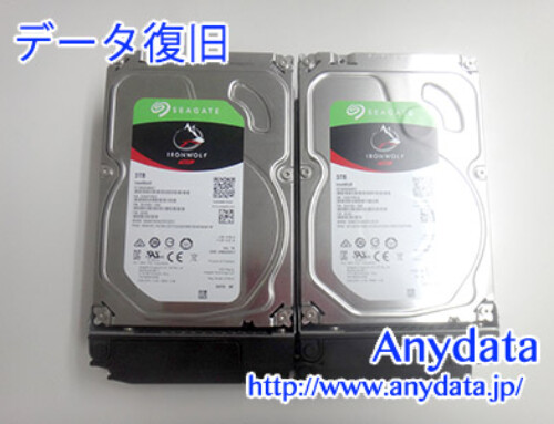 SEAGATE HDD(NAS使用) 3TB(Model NO:ST3000VN006)