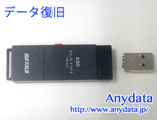 Buffalo SSD 1TB(Model NO:SSD-SCT1.0U3-BA)