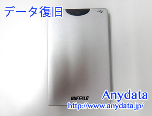 Buffalo 外付けHDD 40GB(Model NO:HD-P40U2/UC)