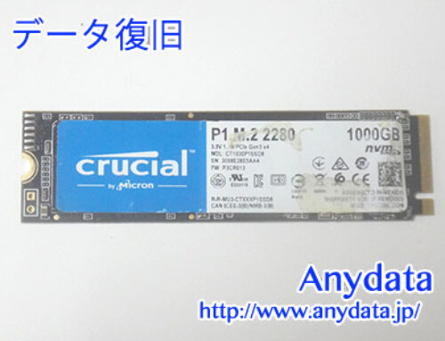 Crucial SSD 1TB(Model NO:CT1000P1SSD8)