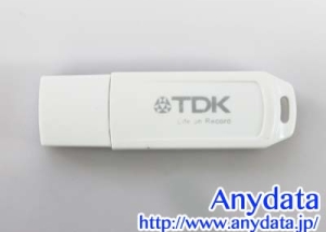 TDK USBメモリー UFD16GS-TWA 16GB 1