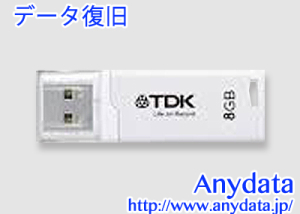 TDK USBメモリー Classic UFD8GE-CL3BLA 8GB