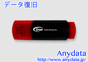 TEAM USBメモリー TG008GC111RT 8GB