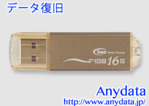 TEAM USBメモリー TG016GF108CX 16GB