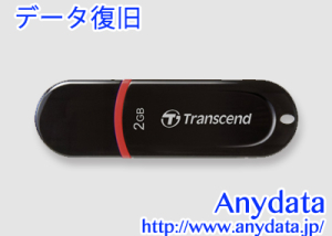 Transcend トランセンド USBメモリー TS2GJF300 2GB