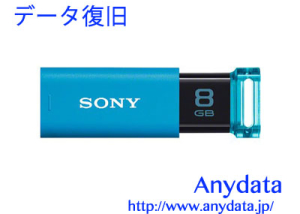 SONY ソニー USBメモリー ポケットビット 8GB