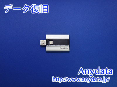 Sandisk USBメモリー 64GB(Model NO: SDIX-064G)