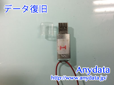 GREENHOUSE USBメモリー 1GB(Model NO:GH-UFD1GS)