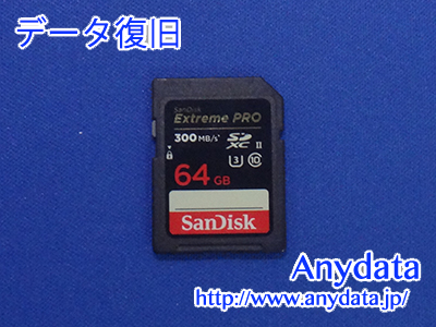 Sandisk SDカード 64GB(Model NO:SDXXY-064G)