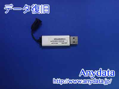 SANWA SUPPLY USBメモリー 2GB(Model NO:UFD-A2G2SV-5)