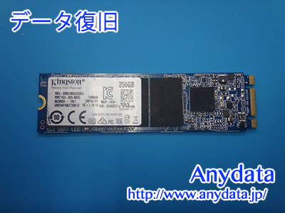 Kingston SSD 256GB(Model NO:RBU-SNS8180S3/256GJ)