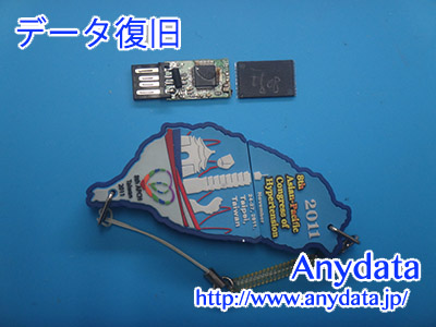 メーカ不明 USBメモリー 8GB(Model NO:-)