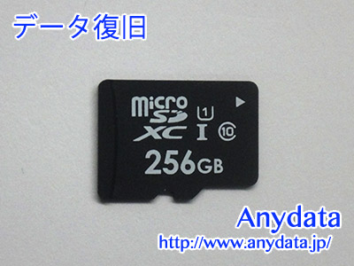 メーカ不明 MicroSDカード 256GB(Model NO:不明)