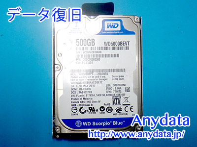 Western Digital HDD 500GB(Model NO:WD5000BEVT)